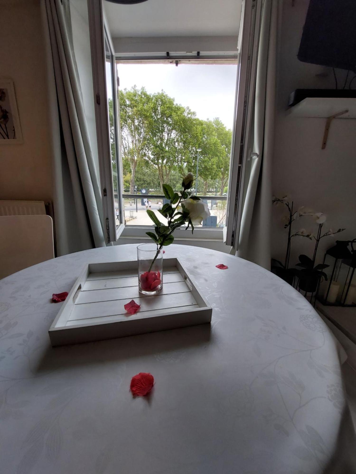 Love Room White - Les Delices Rooms 昂热 外观 照片